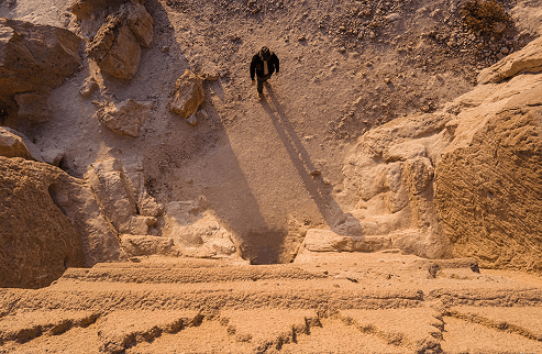 Project thumbnail: Terminal CLI preview